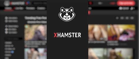 xxx sexyvideos|xHamster.com